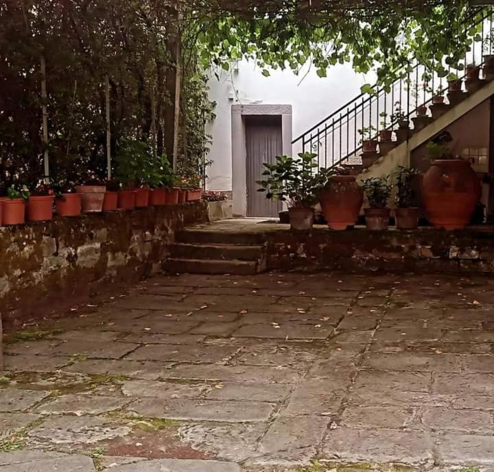Albergo Del Ponte ซานเปียโร อิน บาโญ ภายนอก รูปภาพ